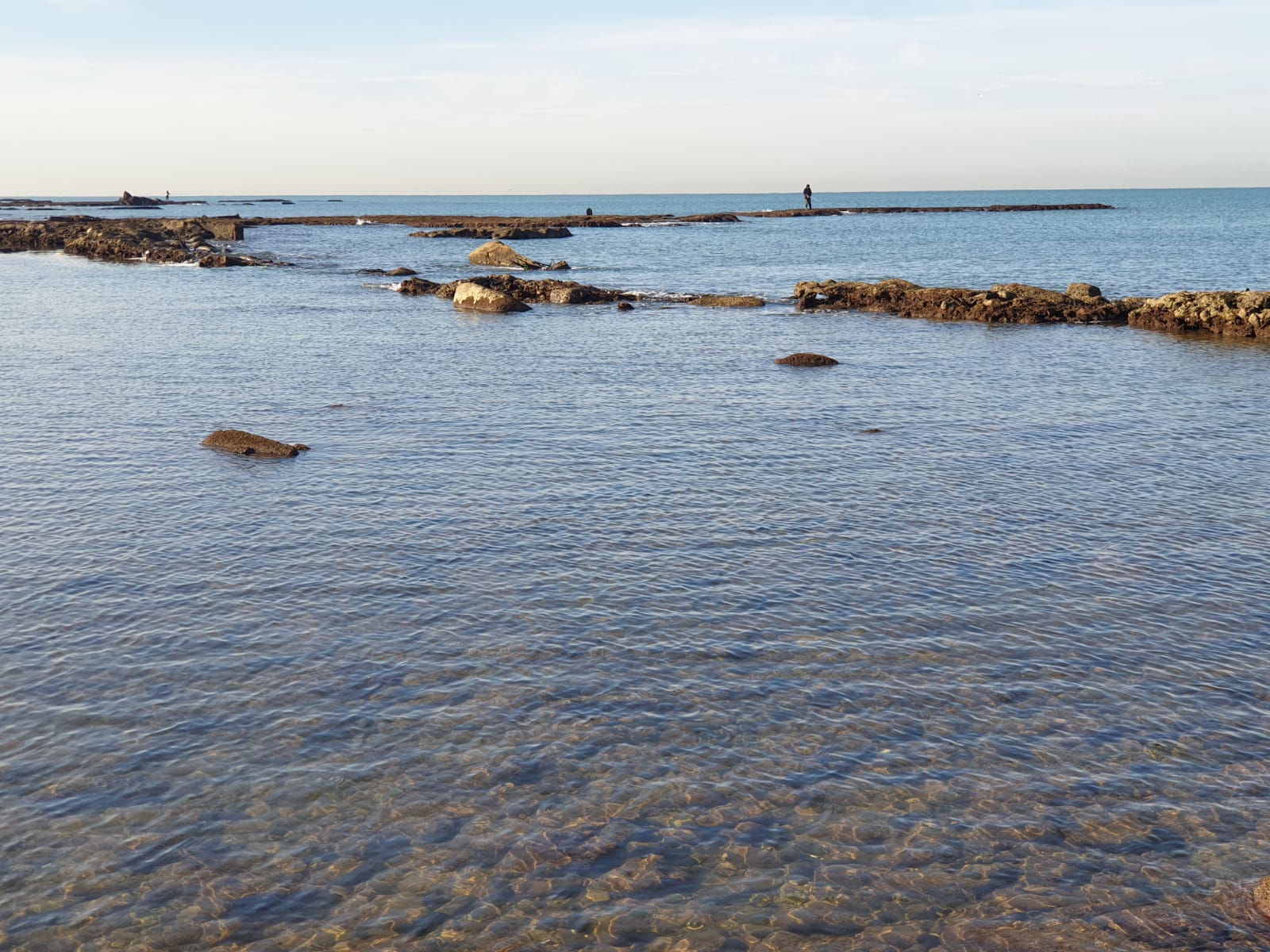 WhatsApp Image 2020-01-27 at 9.05.16 AM.jpeg.jpeg